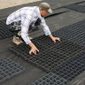 Газонная решётка. Экопарковка. Green Parking.  400x600x75